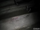 IMG_0680