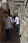 BUI_4589