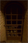 BUI_4698
