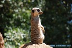Zoo