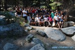 Sequoia